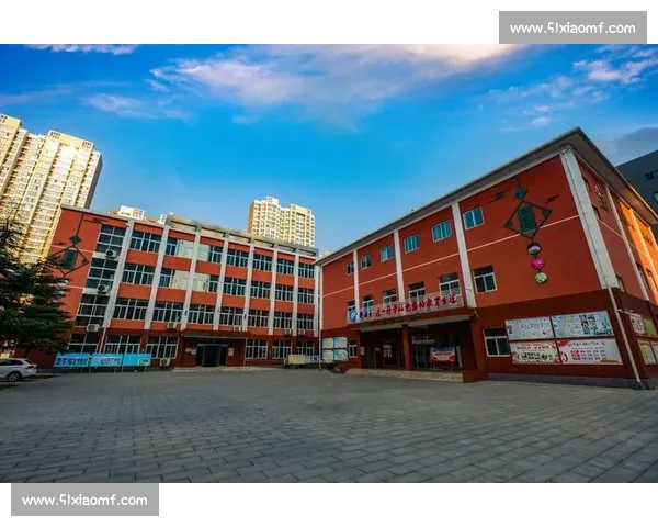 国家队比赛风云录与荣耀征程全景深度解析报告历史回顾与未来展望篇