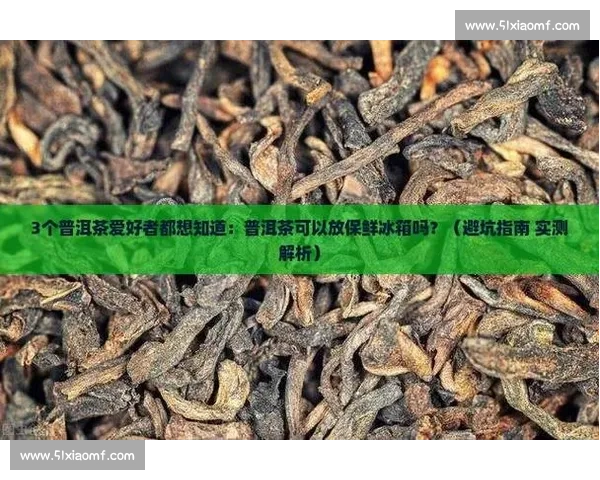 新手观看体育赛事常见疑问与入门指南全解析十大技巧与避坑说明 - 副本 (2) - 副本