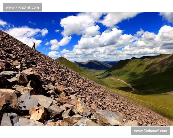 洲际赛事与世界赛事的异同分析及其对体育发展的影响 - 副本 - 副本 (2)